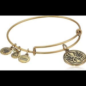 Alex & Ani Infinite